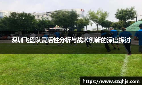 深圳飞盘队灵活性分析与战术创新的深度探讨