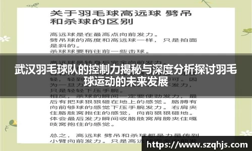 武汉羽毛球队的控制力揭秘与深度分析探讨羽毛球运动的未来发展