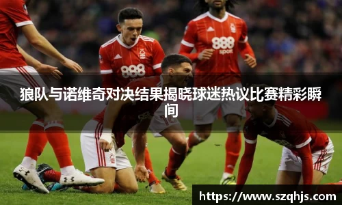 狼队与诺维奇对决结果揭晓球迷热议比赛精彩瞬间