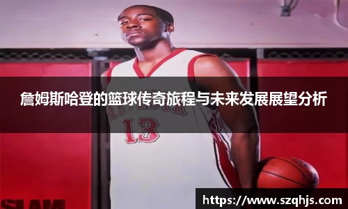 詹姆斯哈登的篮球传奇旅程与未来发展展望分析